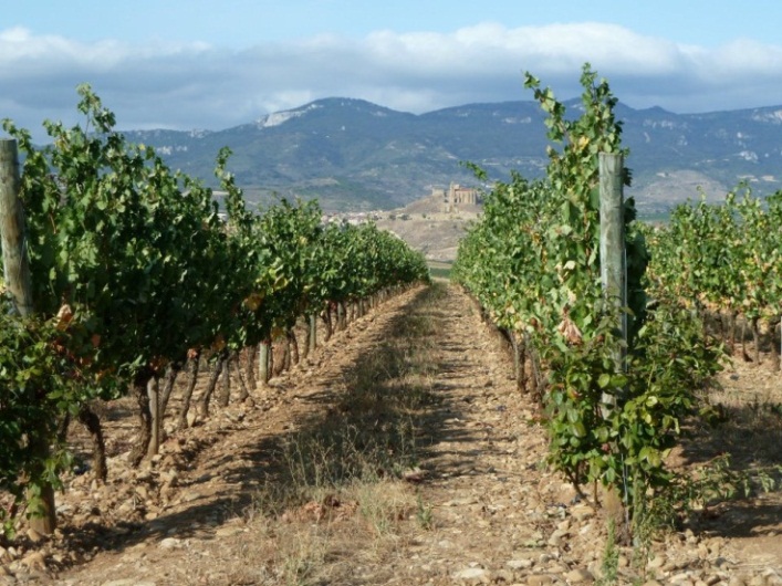 Santo Domingo de la Calzada